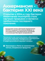 Аккермансия муцинифила концентрат живых бактерий с аронией, 0.33л — изображение 2