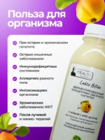 Концентрат живых бактерий из айвы 0.33л — изображение 6