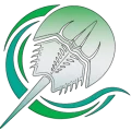 cropped-favicon3.webp